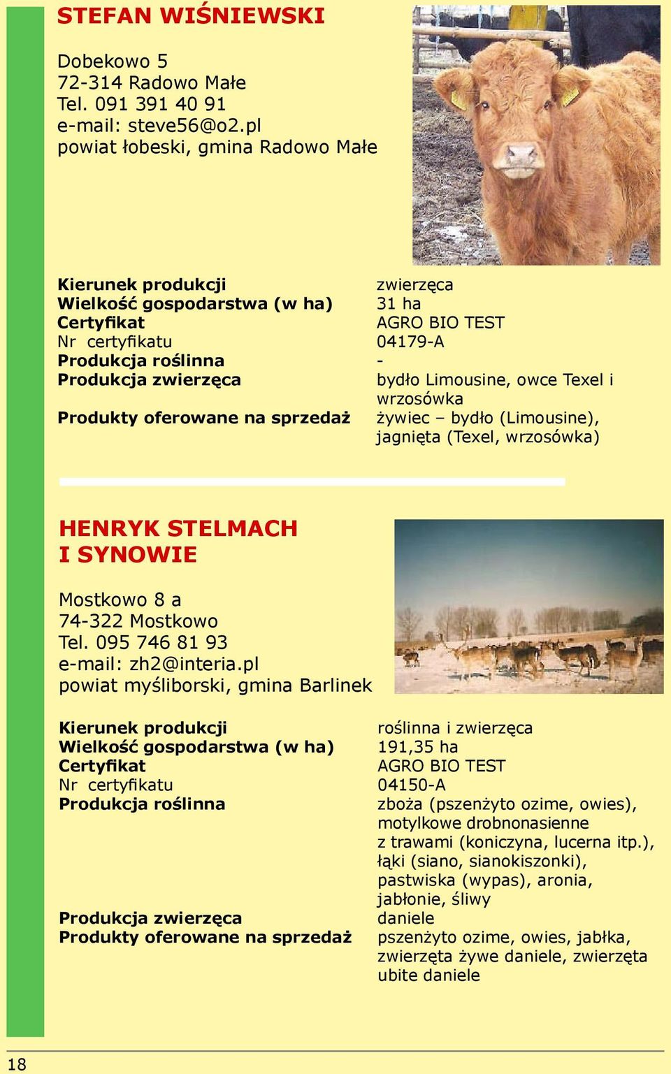 bydło (Limousine), jagnięta (Texel, wrzosówka) HENRYK STELMACH I SYNOWIE Mostkowo 8 a 74-322 Mostkowo Tel. 095 746 81 93 e-mail: zh2@interia.