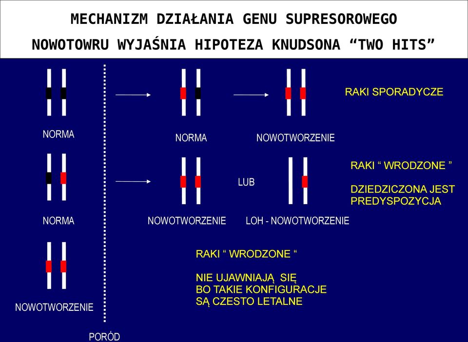 NOWOTWORZENIE LOH - NOWOTWORZENIE RAKI WRODZONE NOWOTWORZENIE PORÓD NIE