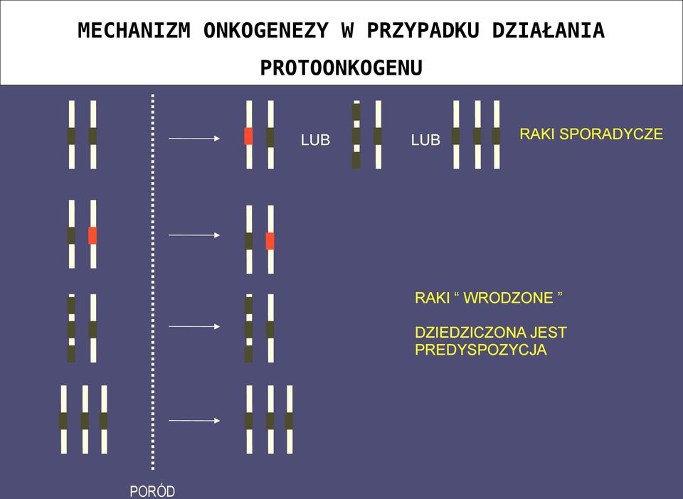 RAKI SPORADYCZE RAKI WRODZONE