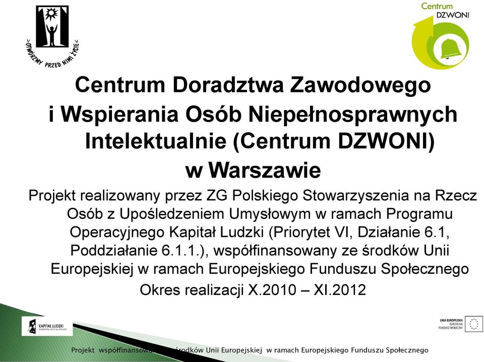 ramach Programu Operacyjnego Kapitał Ludzki (Priorytet VI, Działanie 6.1,