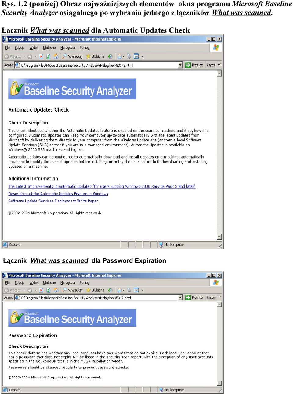 Microsoft Baseline Security Analyzer osiągalnego po wybraniu