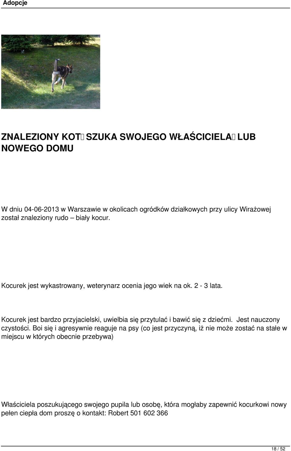 Kocurek jest bardzo przyjacielski, uwielbia się przytulać i bawić się z dziećmi. Jest nauczony czystości.