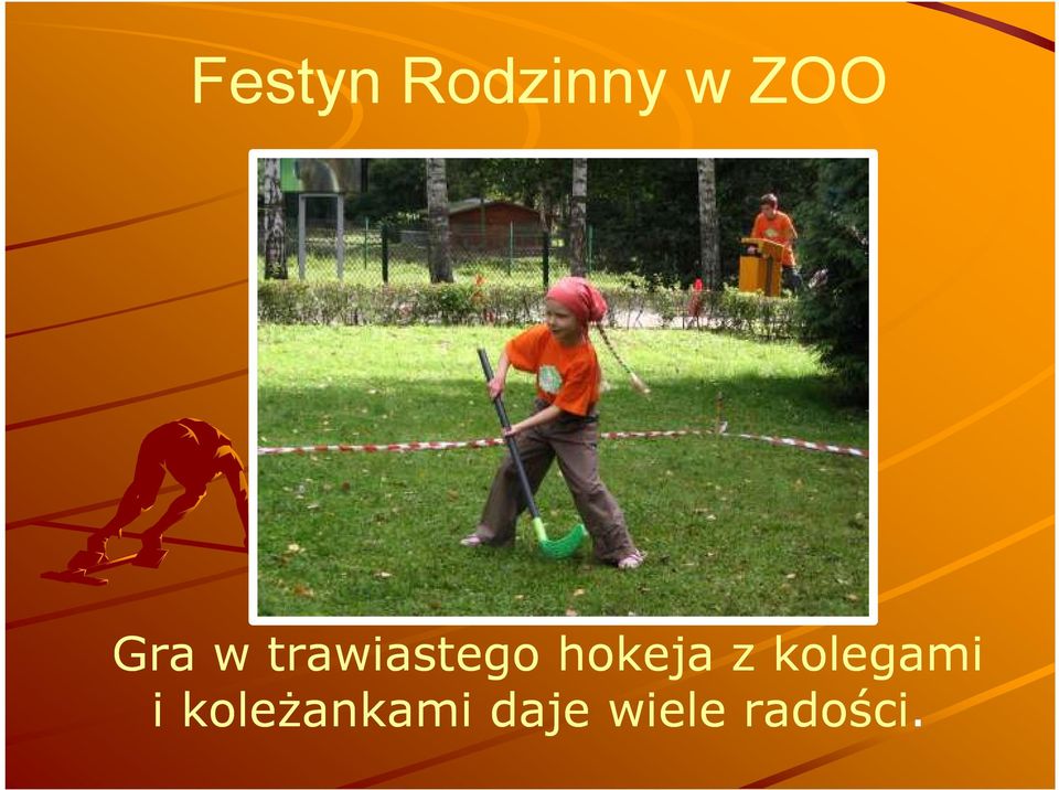 hokeja z kolegami i