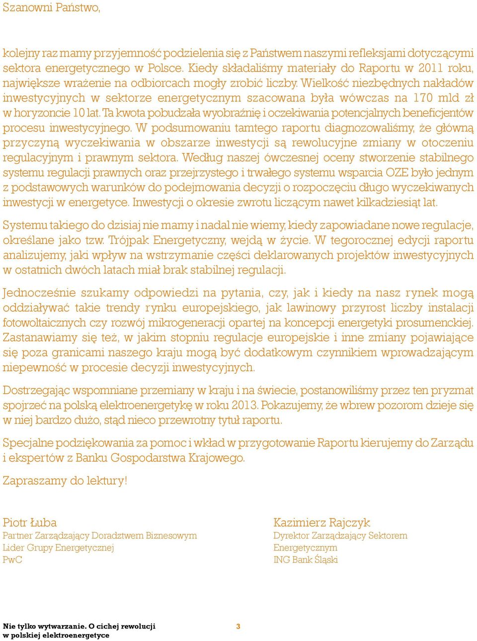 Wielkość niezbędnych nakładów inwestycyjnych w sektorze energetycznym szacowana była wówczas na 170 mld zł w horyzoncie 10 lat.