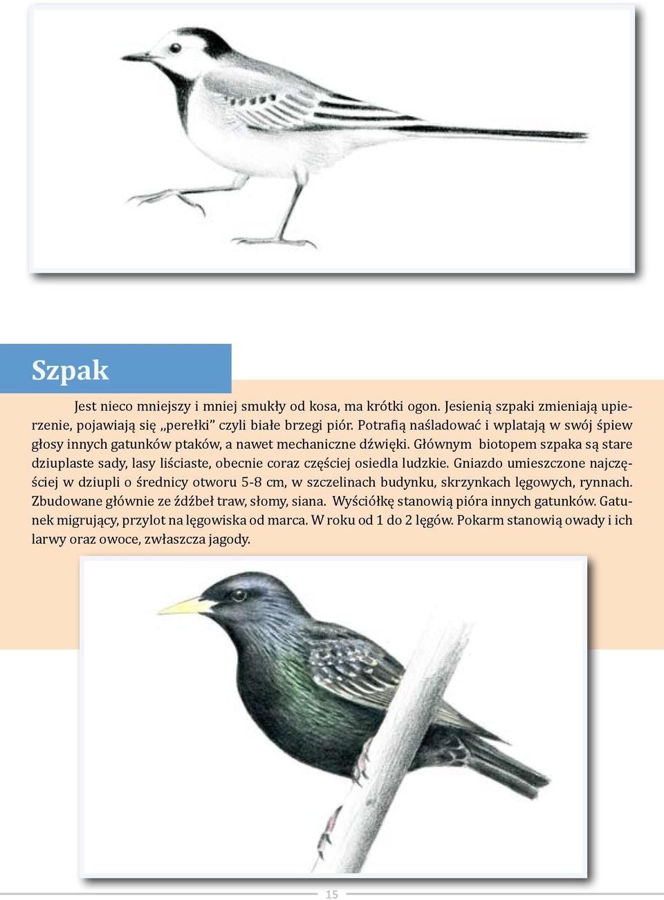 Głównym biotopem szpaka są stare dziuplaste sady, lasy liściaste, obecnie coraz częściej osiedla ludzkie.