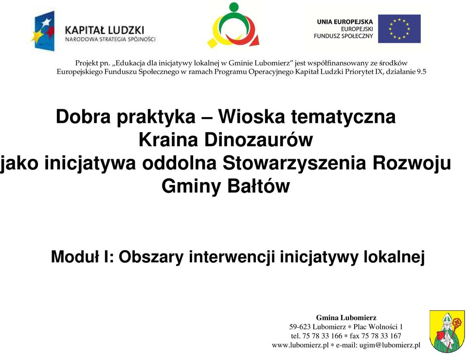 ramach Programu Operacyjnego Kapitał Ludzki Priorytet IX, działanie 9.