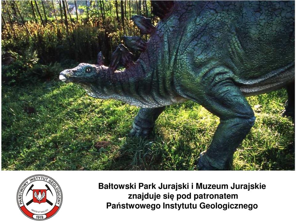 Bałtowski Park Jurajski i Muzeum Jurajskie