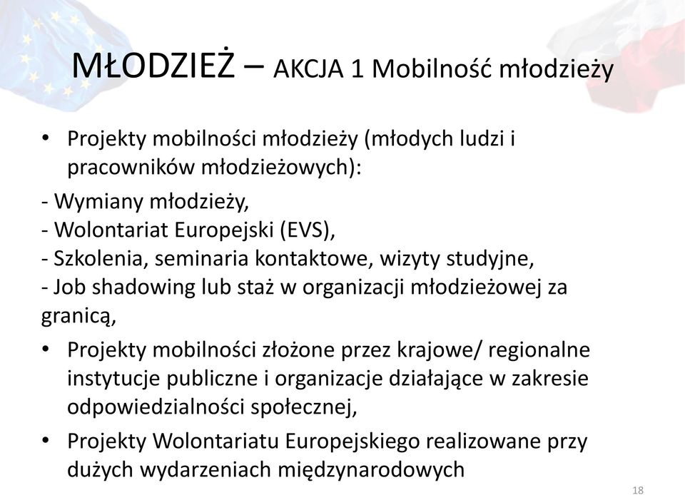 organizacji młodzieżowej za granicą, Projekty mobilności złożone przez krajowe/ regionalne instytucje publiczne i organizacje