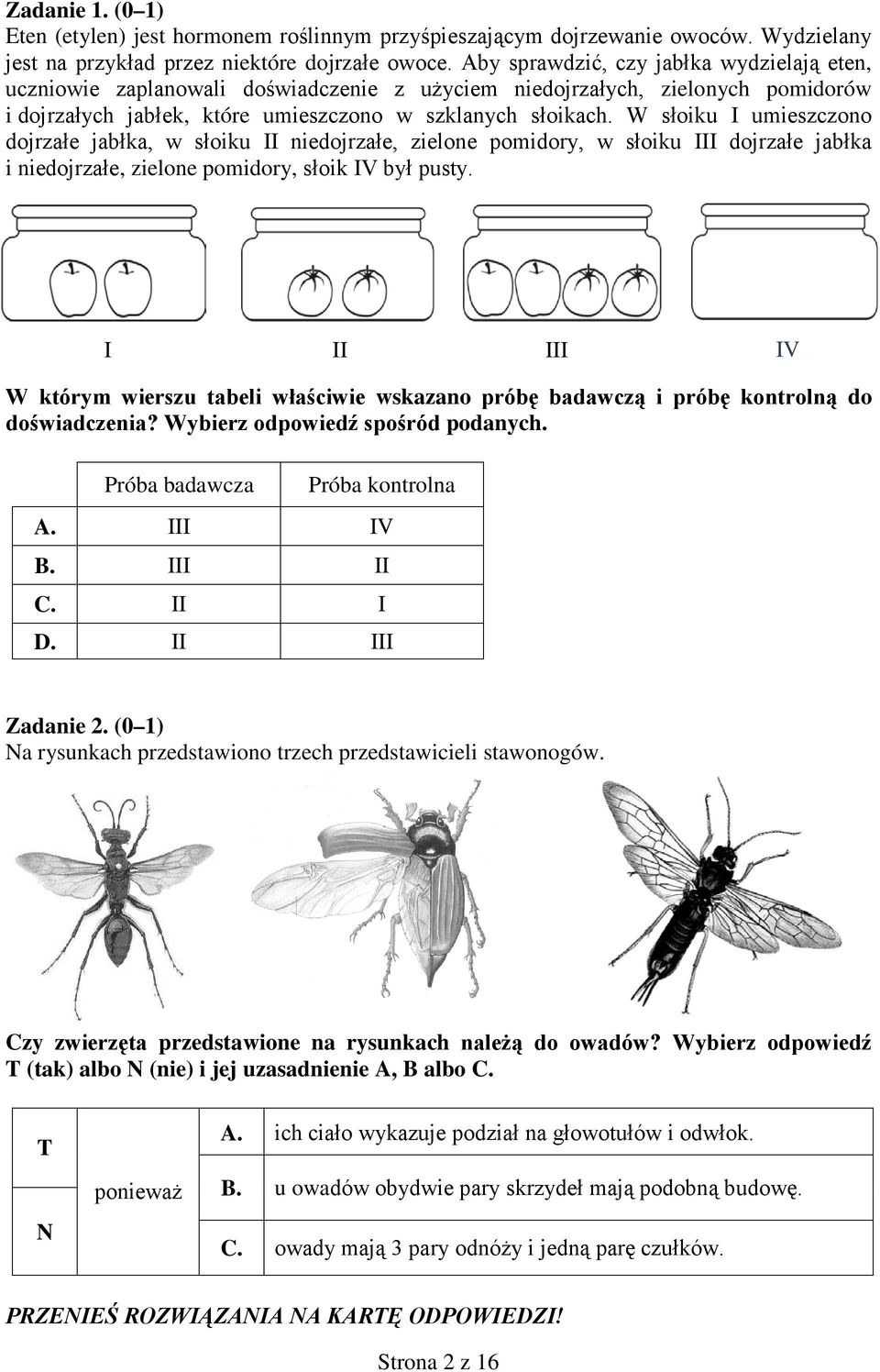 W słoiku I umieszczono dojrzałe jabłka, w słoiku II niedojrzałe, zielone pomidory, w słoiku III dojrzałe jabłka i niedojrzałe, zielone pomidory, słoik IV był pusty.