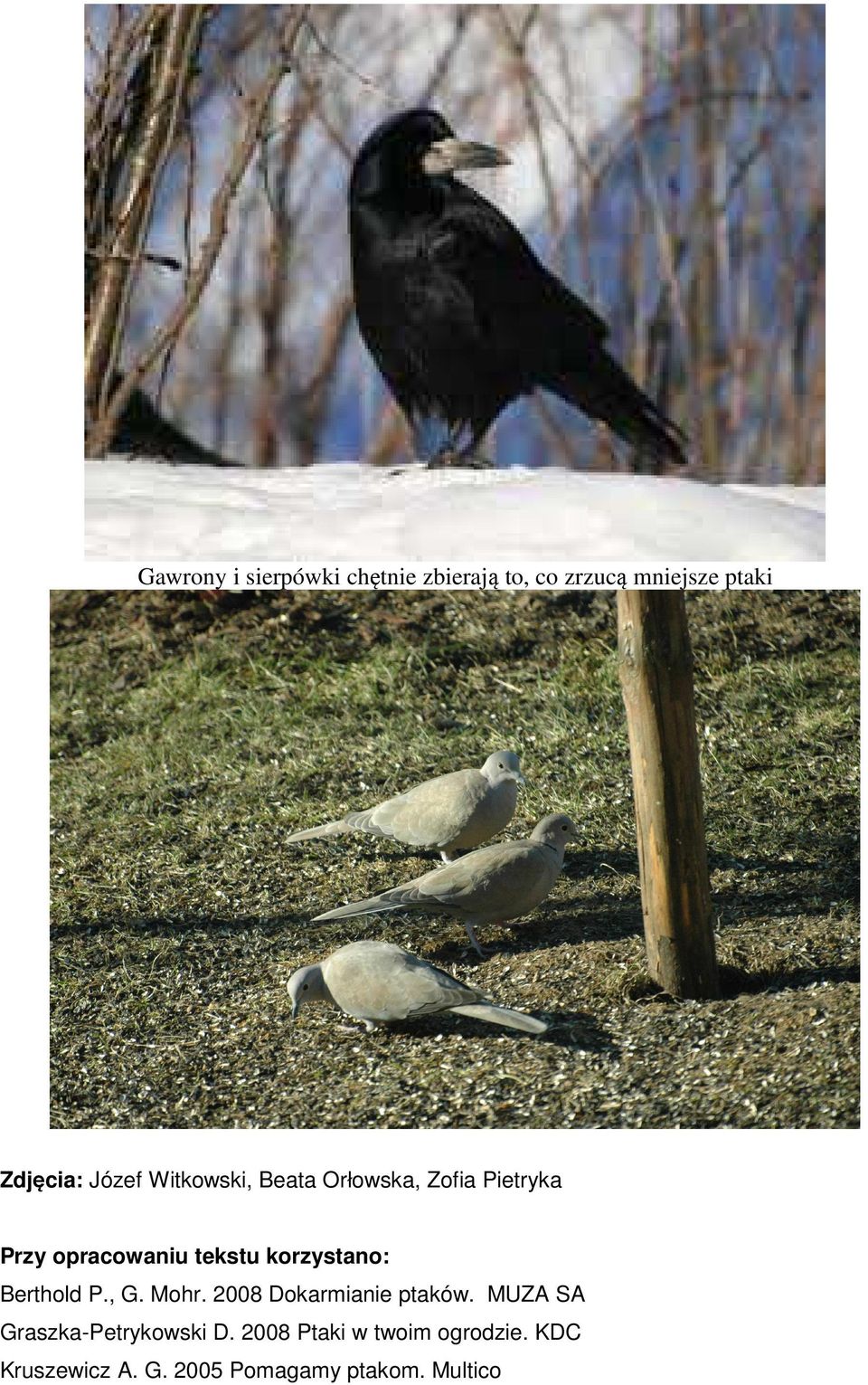 korzystano: Berthold P., G. Mohr. 2008 Dokarmianie ptaków.