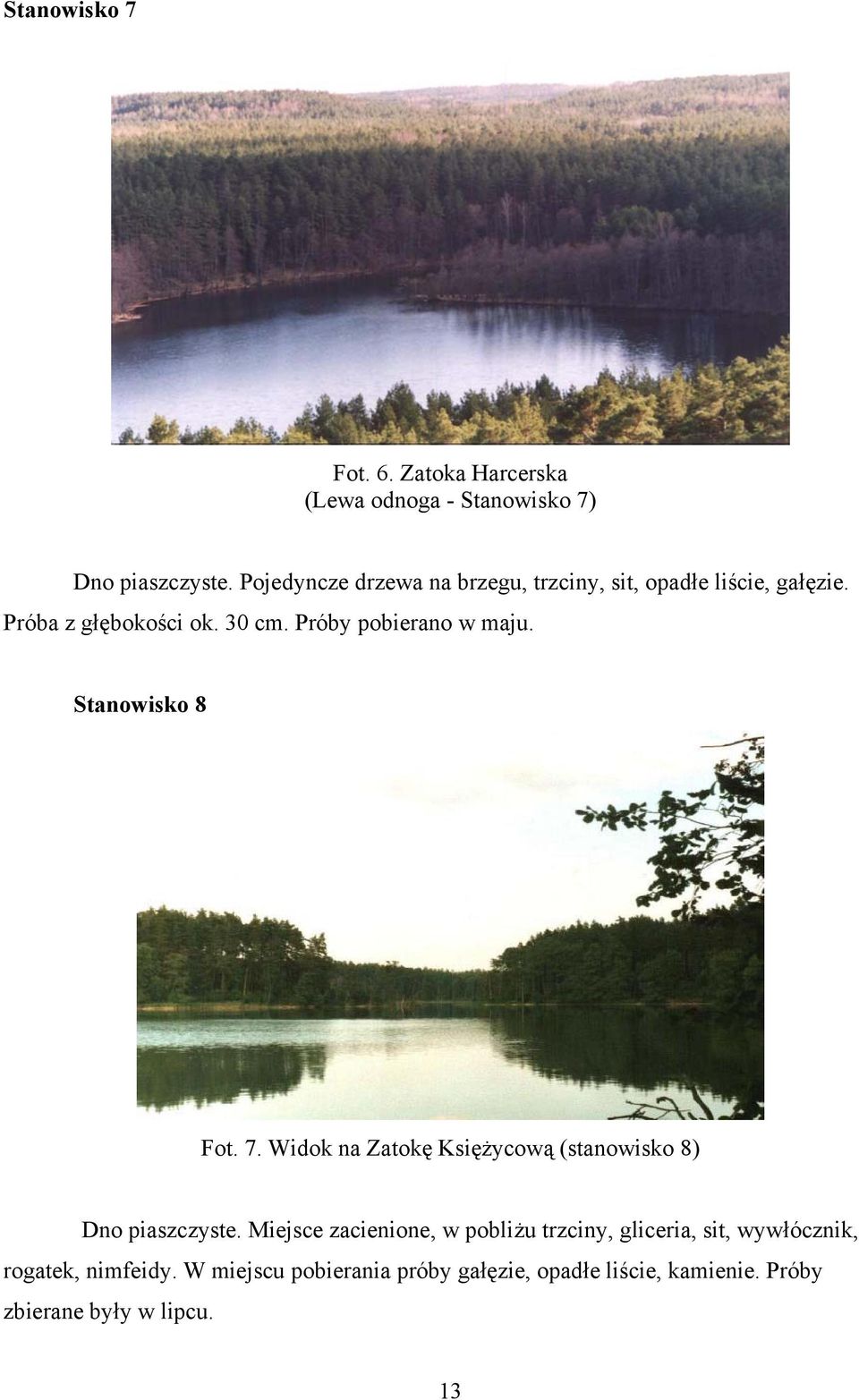 Próby pobierano w maju. Stanowisko 8 Fot. 7. Widok na Zatokę Księżycową (stanowisko 8) Dno piaszczyste.