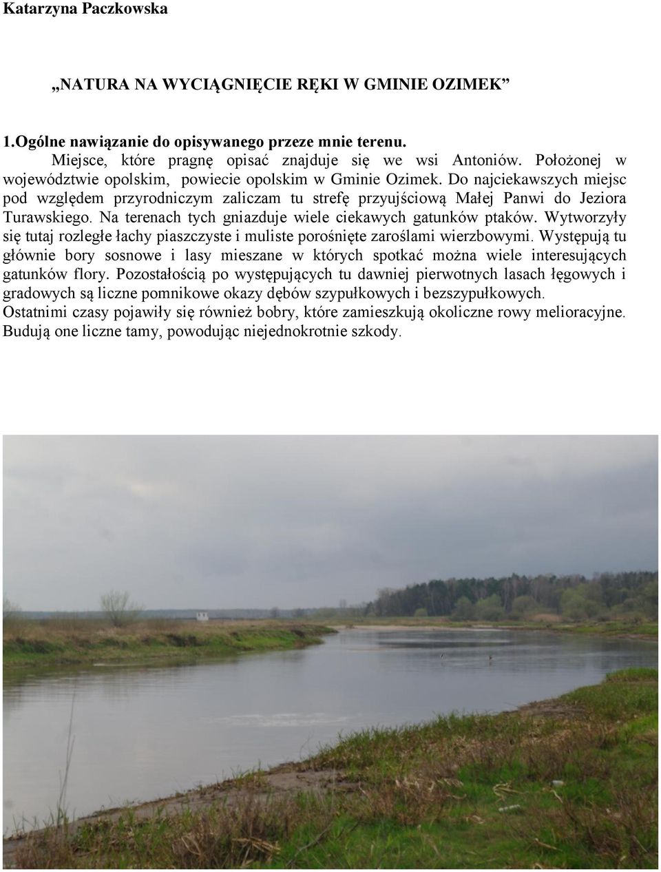 Na terenach tych gniazduje wiele ciekawych gatunków ptaków. Wytworzyły się tutaj rozległe łachy piaszczyste i muliste porośnięte zaroślami wierzbowymi.