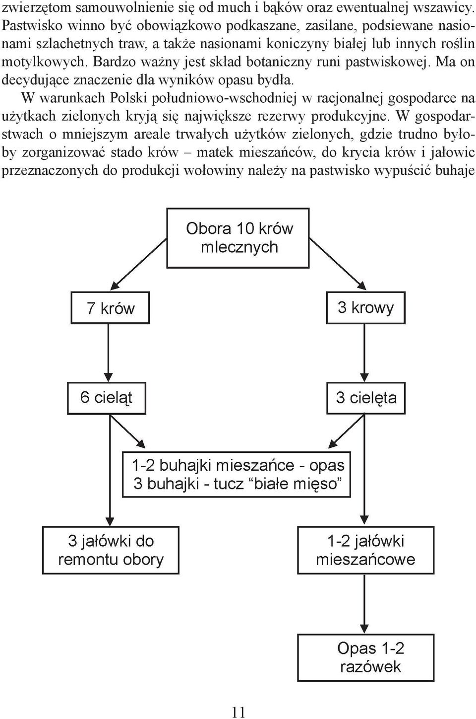 Bardzo ważny jest skład botaniczny runi pastwiskowej. Ma on decydujące znaczenie dla wyników opasu bydła.