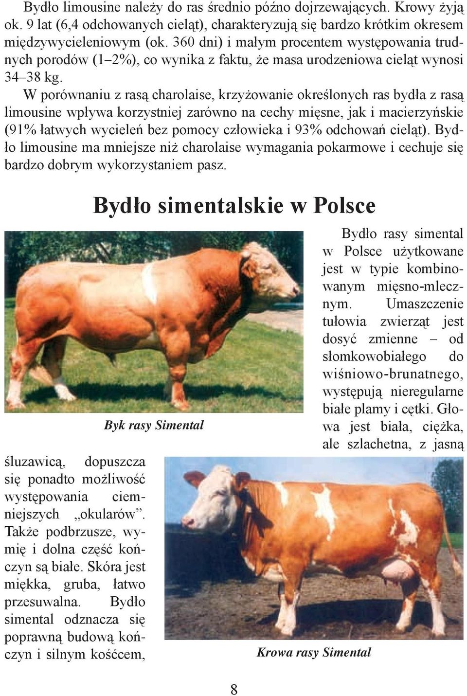 W porównaniu z rasą charolaise, krzyżowanie określonych ras bydła z rasą limousine wpływa korzystniej zarówno na cechy mięsne, jak i macierzyńskie (91% łatwych wycieleń bez pomocy człowieka i 93%