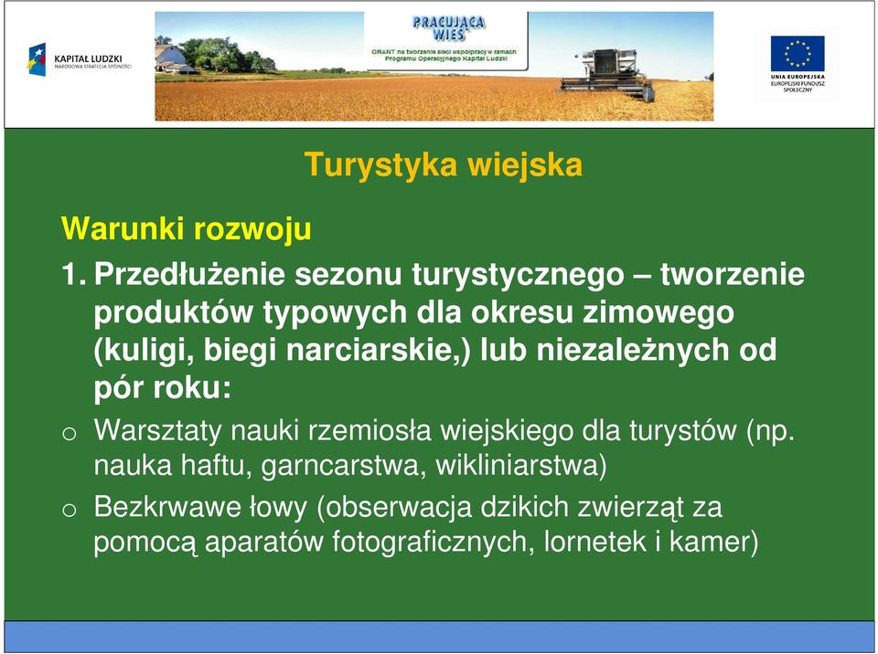 biegi narciarskie,) lub niezależnych od pór roku: o Warsztaty nauki rzemiosła wiejskiego dla