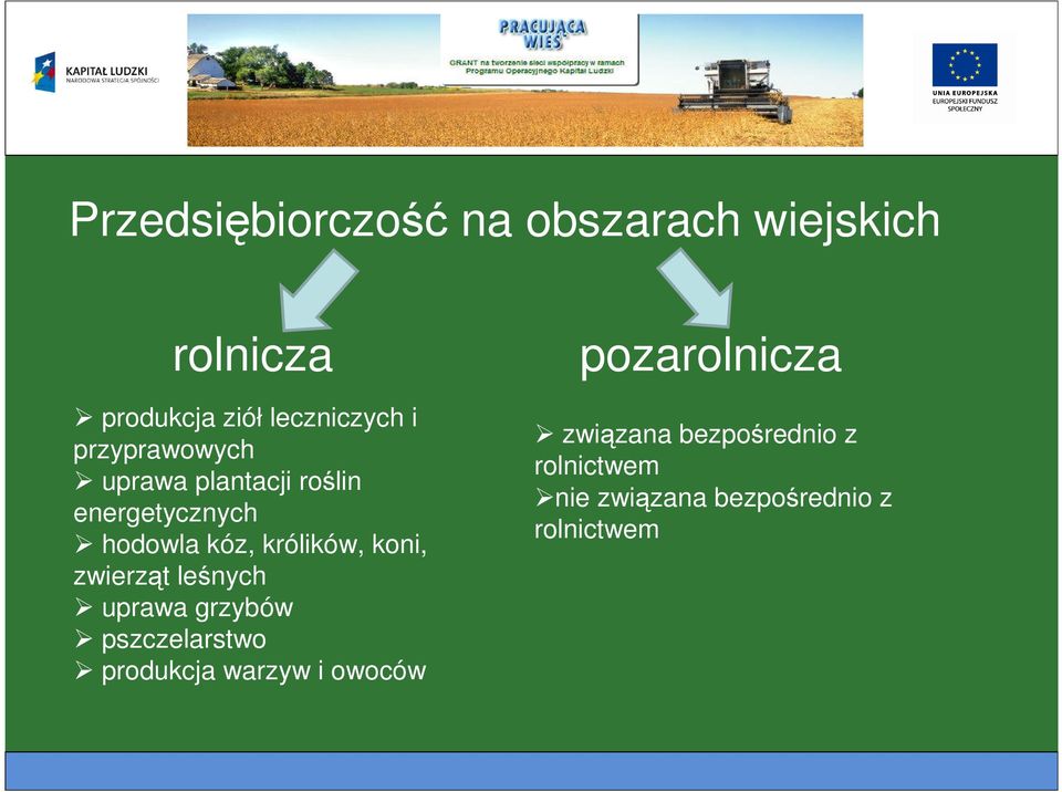 królików, koni, zwierząt leśnych uprawa grzybów pszczelarstwo produkcja warzyw