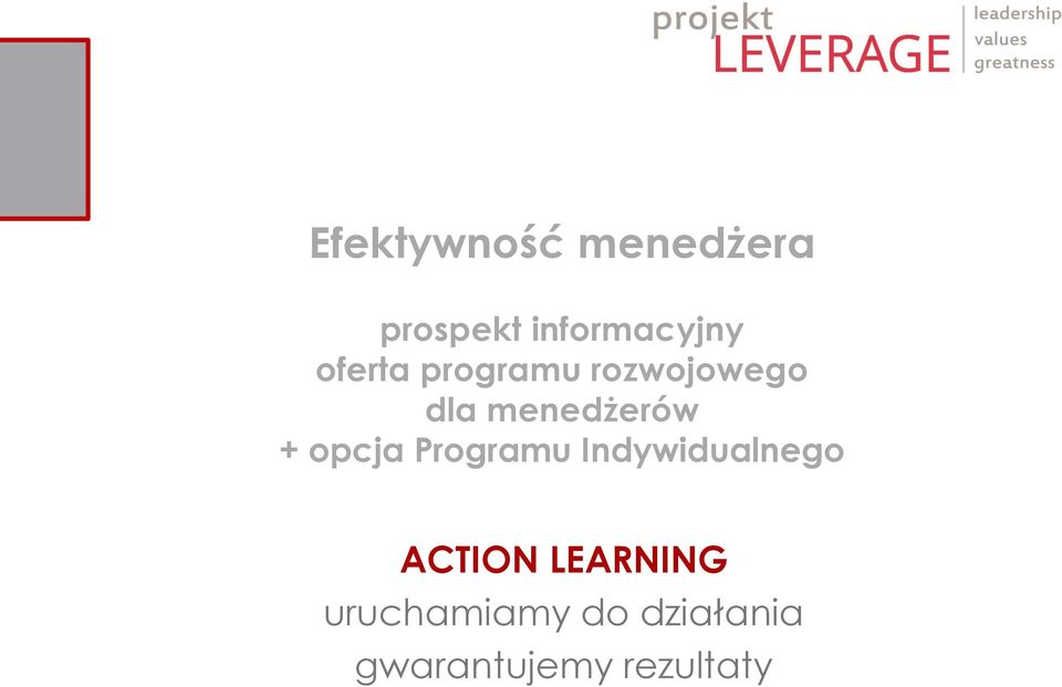 opcja Programu Indywidualnego ACTION LEARNING