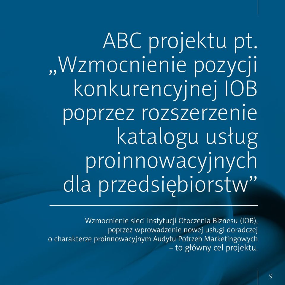 proinnowacyjnych dla przedsiębiorstw Wzmocnienie sieci Instytucji Otoczenia