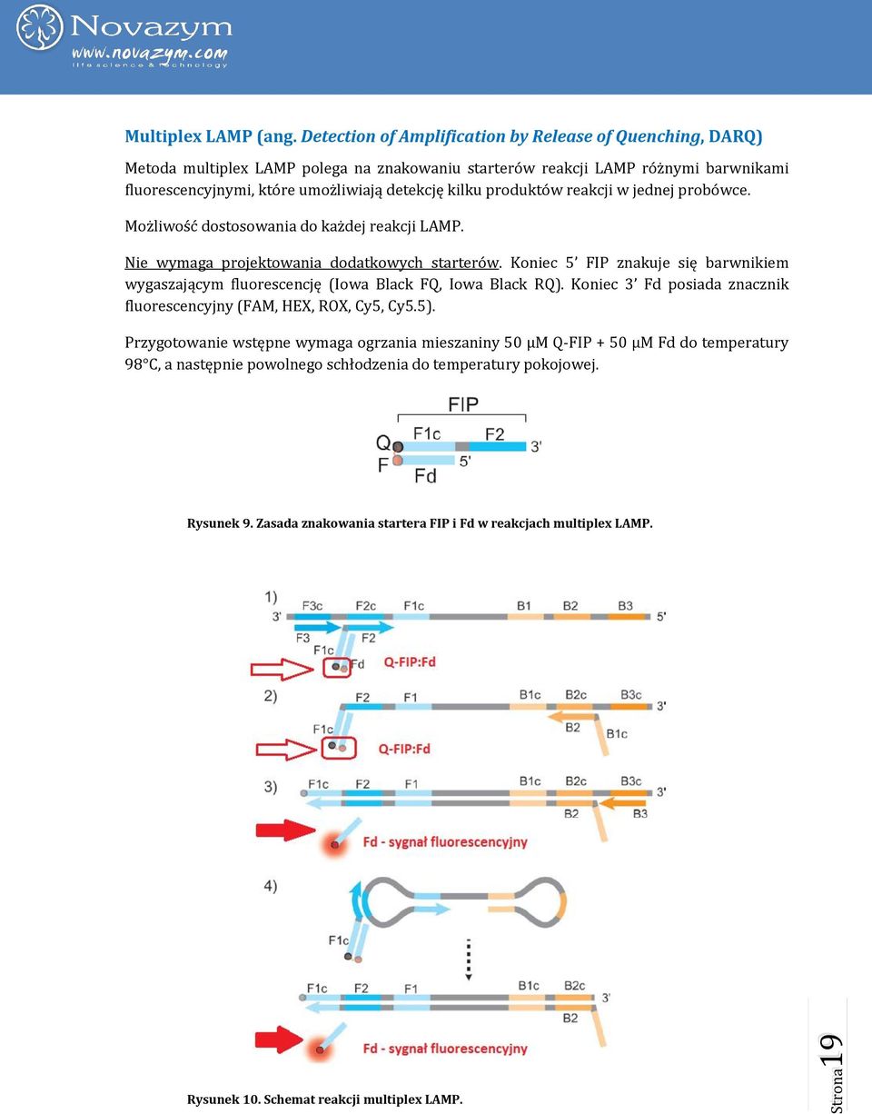 produktów reakcji w jednej probówce. Możliwość dostosowania do każdej reakcji LAMP. Nie wymaga projektowania dodatkowych starterów.