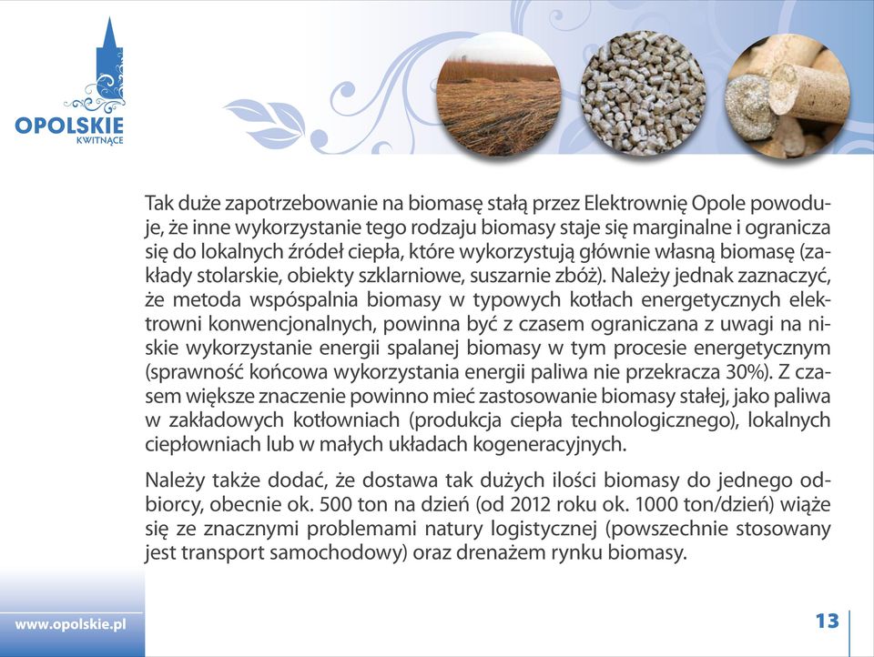 Należy jednak zaznaczyć, że metoda wspóspalnia biomasy w typowych kotłach energetycznych elektrowni konwencjonalnych, powinna być z czasem ograniczana z uwagi na niskie wykorzystanie energii spalanej