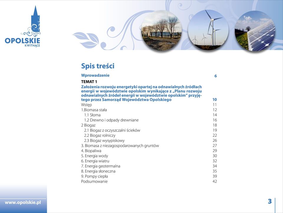 2 Drewno i odpady drewniane 2 Biogaz 2.1 Biogaz z oczyszczalni ścieków 2.2 Biogaz rolniczy 2.3 Biogaz wysypiskowy 3.