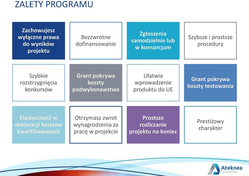 podwykonawstwa Ułatwia wprowadzenie produktu do UE Grant pokrywa koszty testowania Elastyczność w deklaracji