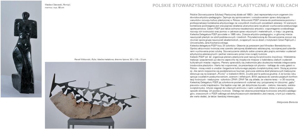 Jest reprezentatywnym organem środowiska artystów-pedagogów. Zajmuje się opiniowaniem i wnioskowaniem spraw dotyczących warunków rozwoju kultury plastycznej w Polsce.