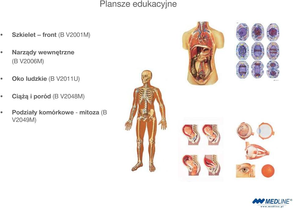 Oko ludzkie (B V2011U) Ciążą i poród (B