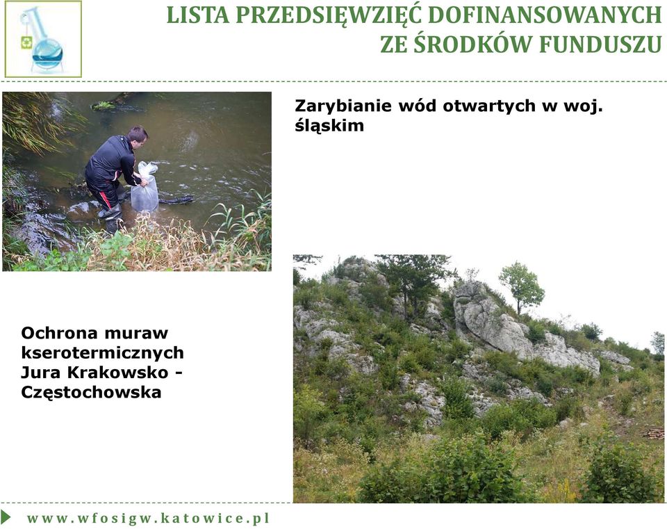 śląskim Ochrona muraw