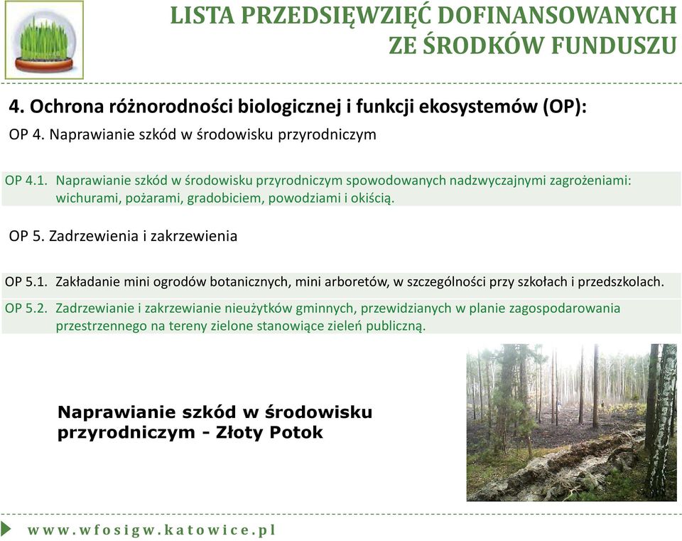 Zadrzewienia i zakrzewienia OP 5.1. Zakładanie mini ogrodów botanicznych, mini arboretów, w szczególności przy szkołach i przedszkolach. OP 5.2.