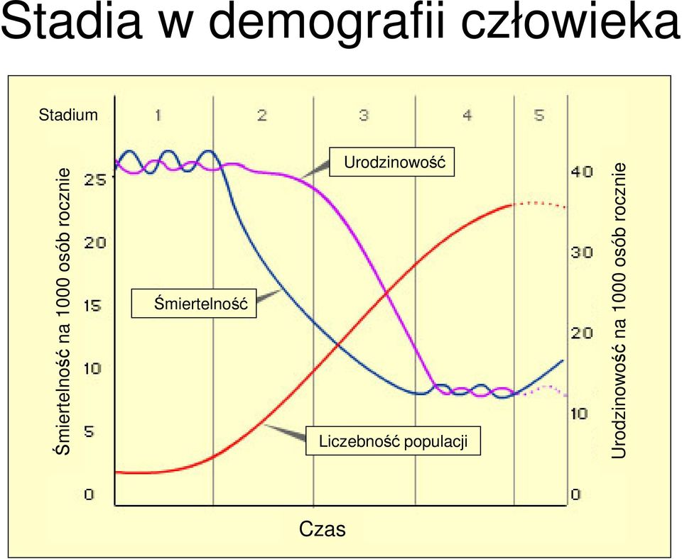 Urodzinowość na 1000 osób rocznie