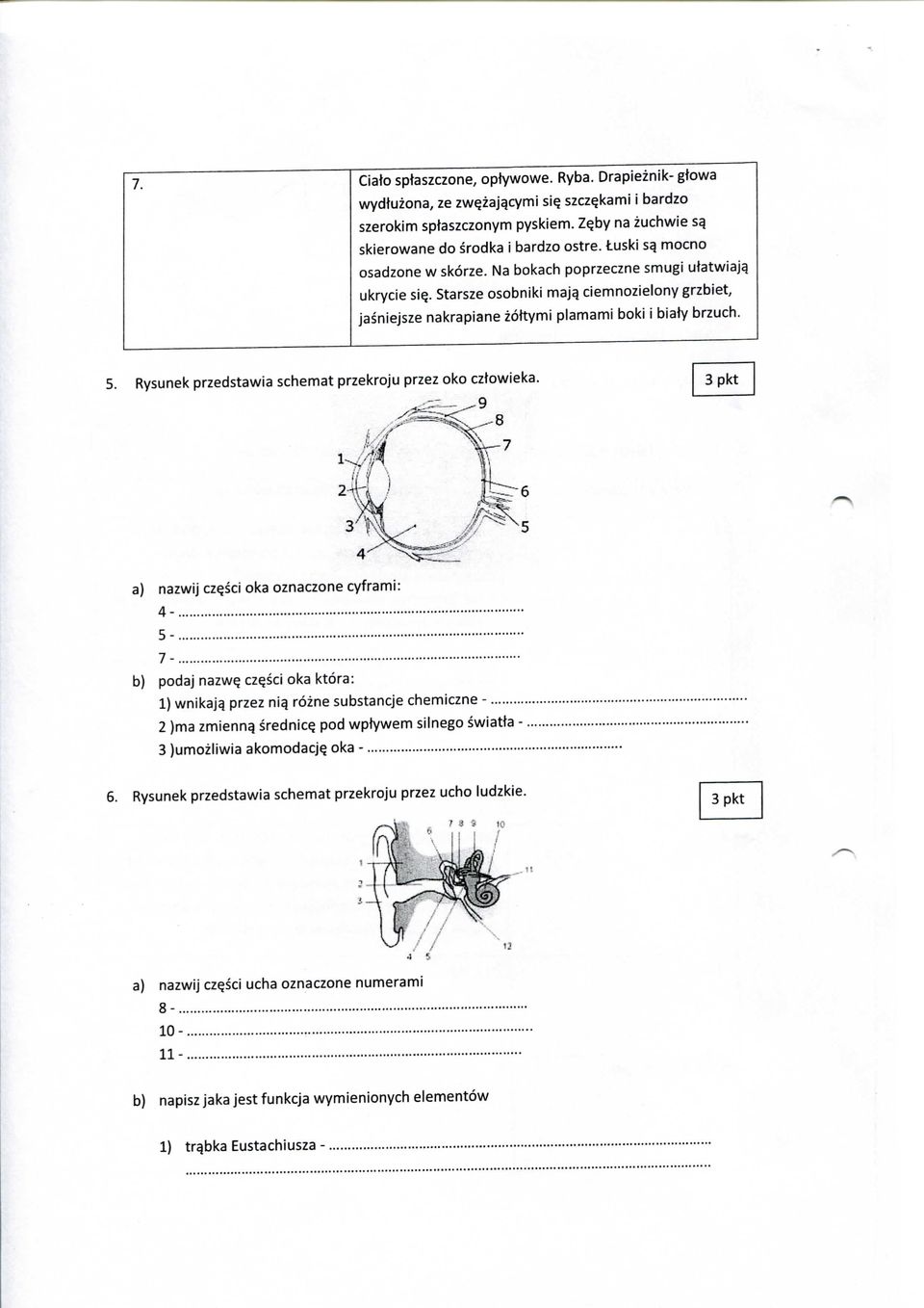 Rysunek przedstawia schemat przekroju przez oko cztowieka. ^9.