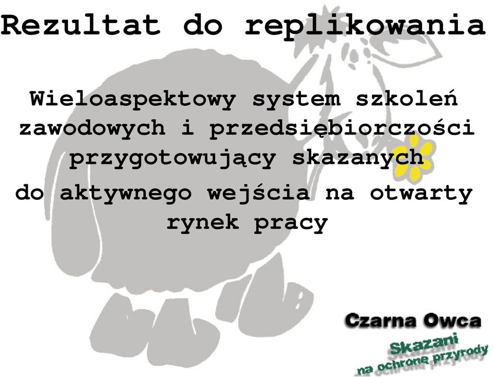 zawodowych i przedsiębiorczości