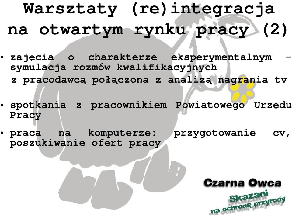 pracodawcą połączona z analizą nagrania tv spotkania z pracownikiem