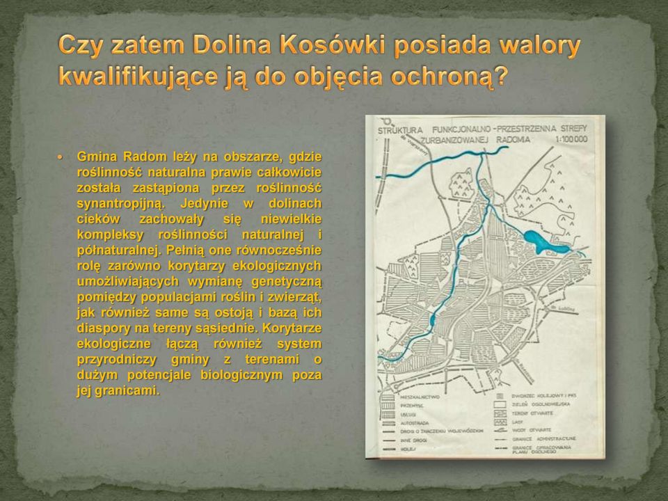 Pełnią one równocześnie rolę zarówno korytarzy ekologicznych umożliwiających wymianę genetyczną pomiędzy populacjami roślin i zwierząt,