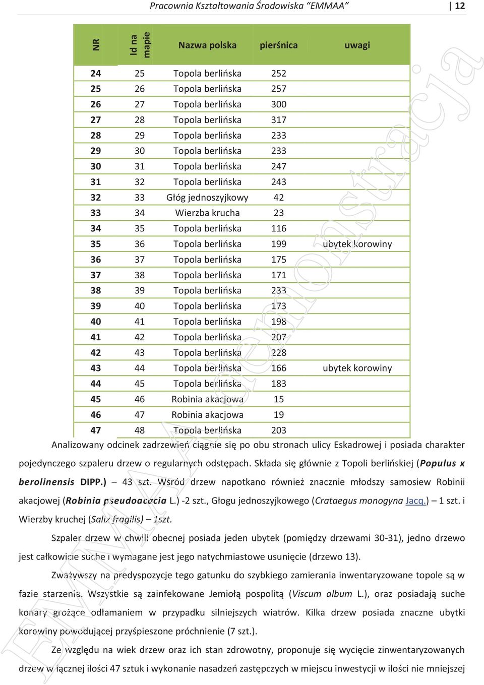 berlińska 199 ubytek korowiny 36 37 Topola berlińska 175 37 38 Topola berlińska 171 38 39 Topola berlińska 233 39 40 Topola berlińska 173 40 41 Topola berlińska 198 41 42 Topola berlińska 207 42 43