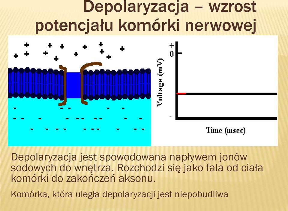 wnętrza.