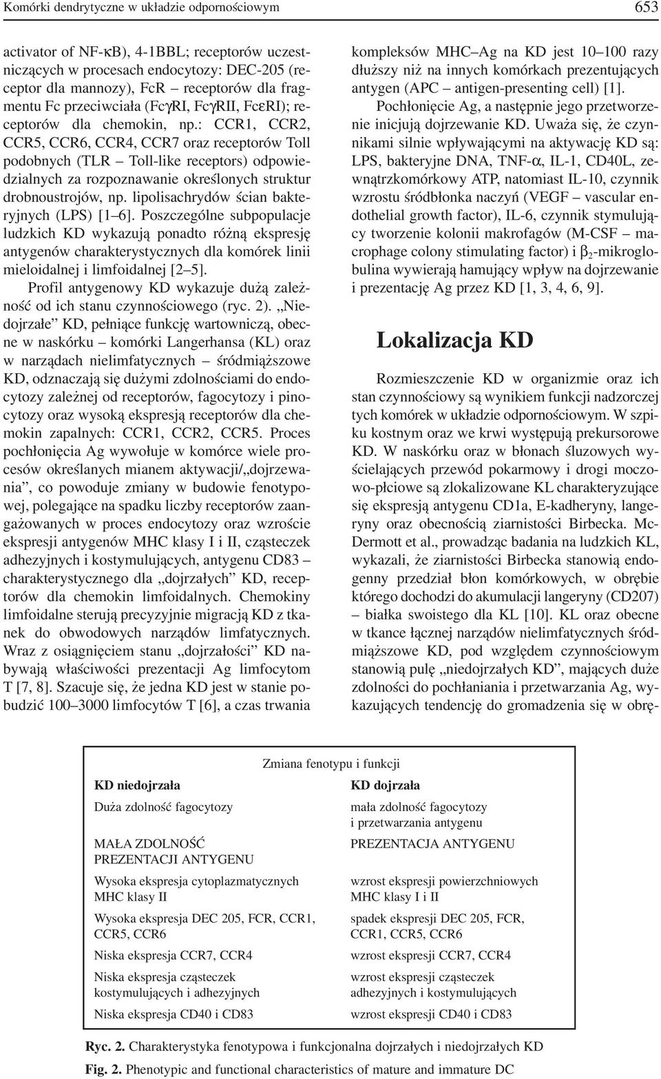 : CCR1, CCR2, CCR5, CCR6, CCR4, CCR7 oraz receptorów Toll podobnych (TLR Toll like receptors) odpowie dzialnych za rozpoznawanie określonych struktur drobnoustrojów, np.