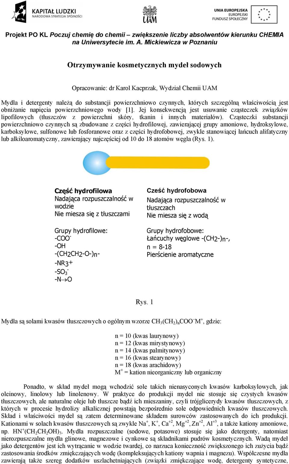 Cząsteczki substancji powierzchniowo czynnych są zbudowane z części hydrofilowej, zawierającej grupy amoniowe, hydroksylowe, karboksylowe, sulfonowe lub fosforanowe oraz z części hydrofobowej, zwykle