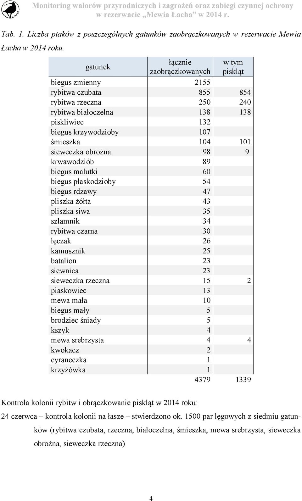 sieweczka obrożna 98 9 krwawodziób 89 biegus malutki 60 biegus płaskodzioby 54 biegus rdzawy 47 pliszka żółta 43 pliszka siwa 35 szlamnik 34 rybitwa czarna 30 łęczak 26 kamusznik 25 batalion 23