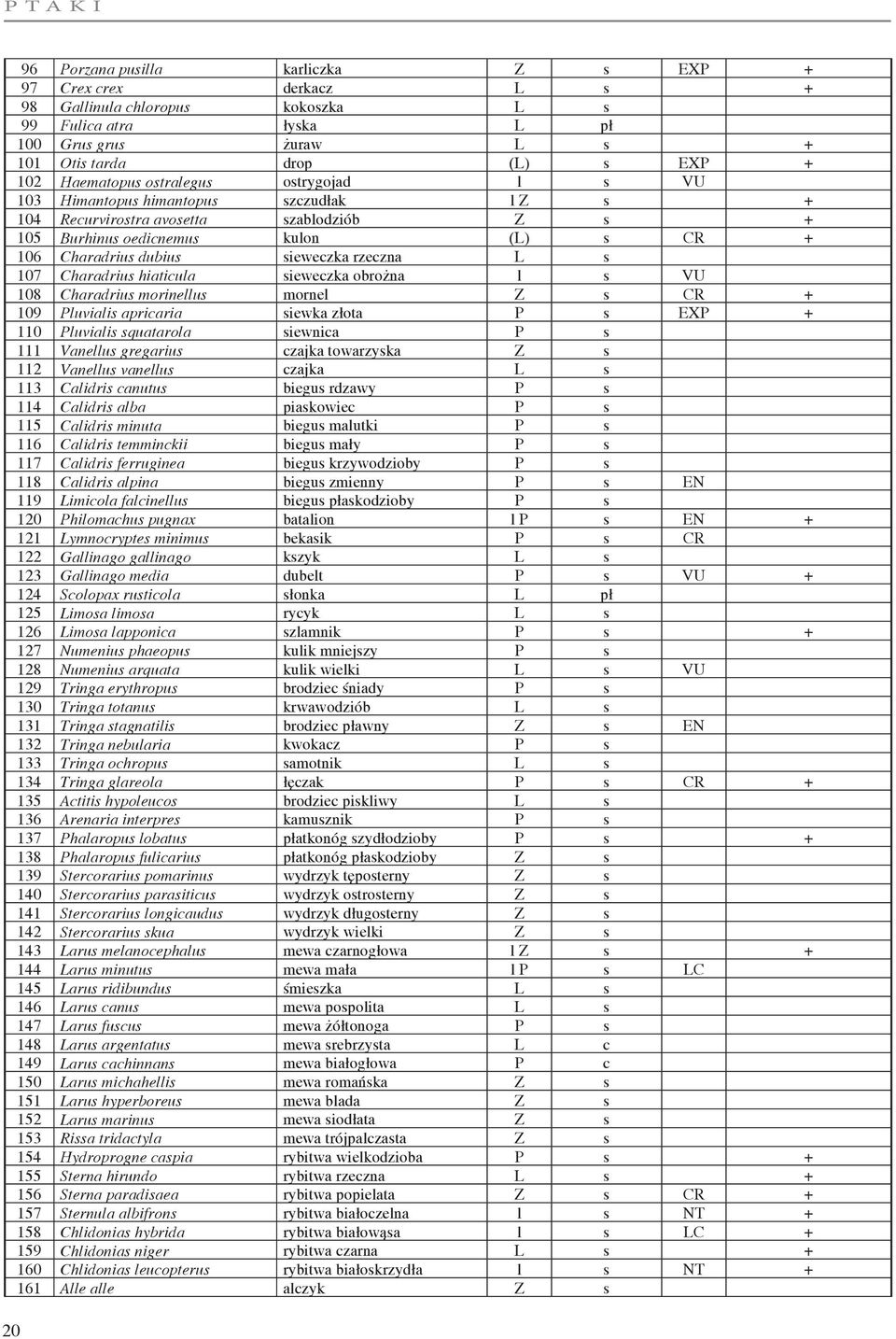 sieweczka rzeczna L s 107 Charadrius hiaticula sieweczka obrożna l s VU 108 Charadrius morinellus mornel Z s CR + 109 Pluvialis apricaria siewka złota P s EXP + 110 Pluvialis squatarola siewnica P s