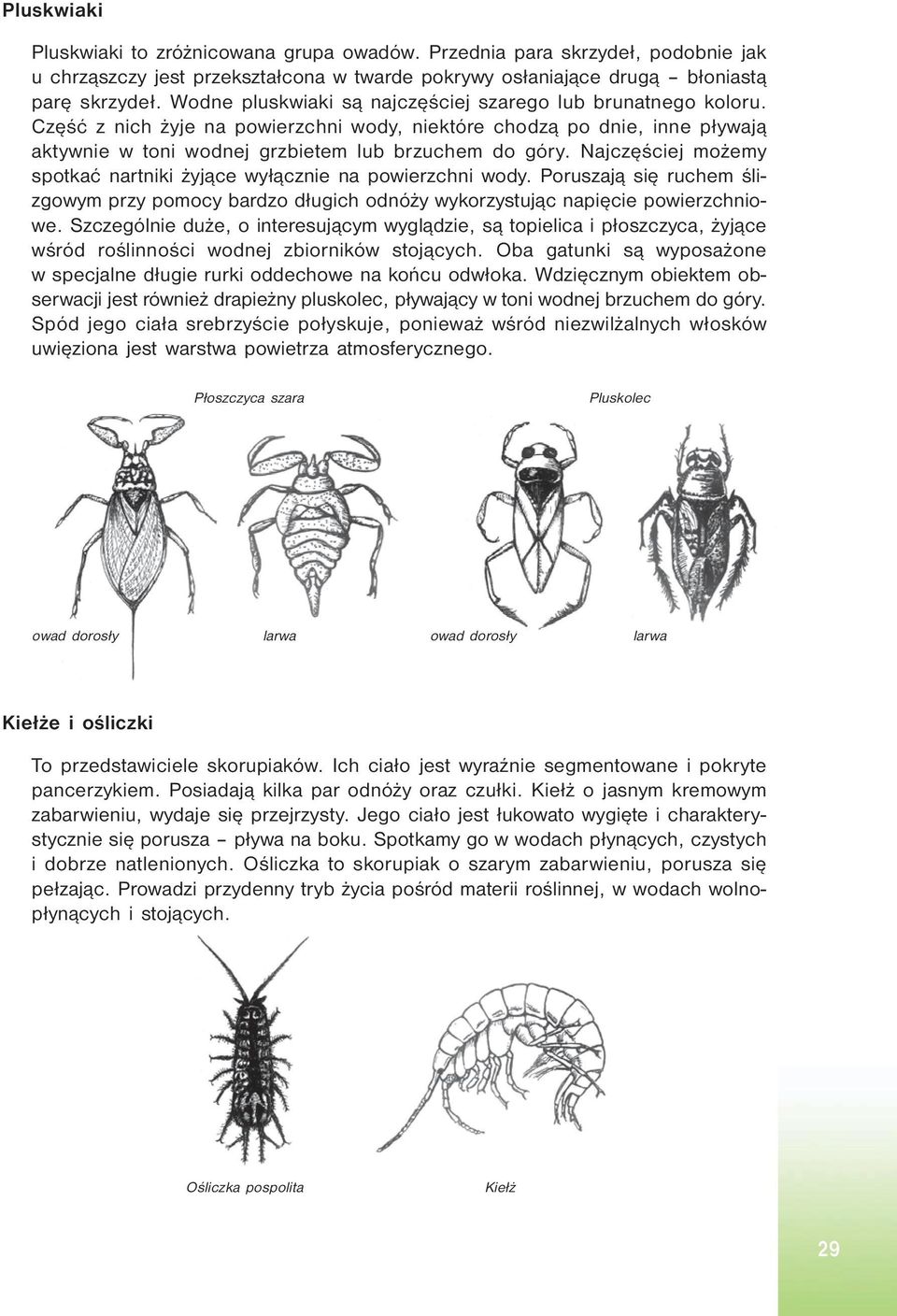 Najczęściej możemy spotkać nartniki żyjące wyłącznie na powierzchni wody. Poruszają się ruchem ślizgowym przy pomocy bardzo długich odnóży wykorzystując napięcie powierzchniowe.