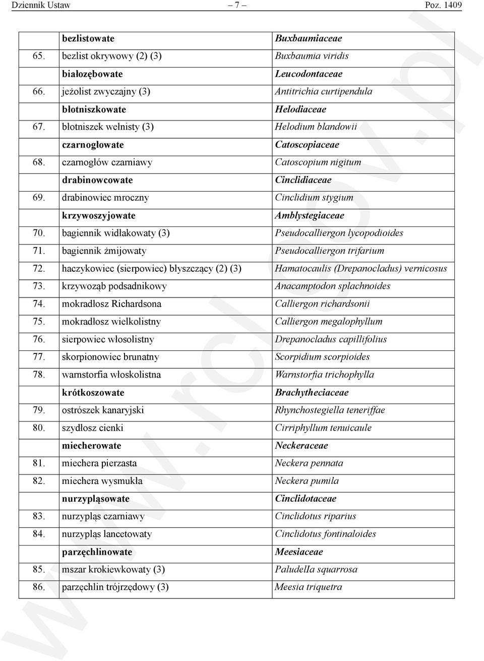 drabinowiec mroczny Cinclidium stygium krzywoszyjowate Amblystegiaceae 70. bagiennik widłakowaty (3) Pseudocalliergon lycopodioides 71. bagiennik żmijowaty Pseudocalliergon trifarium 72.