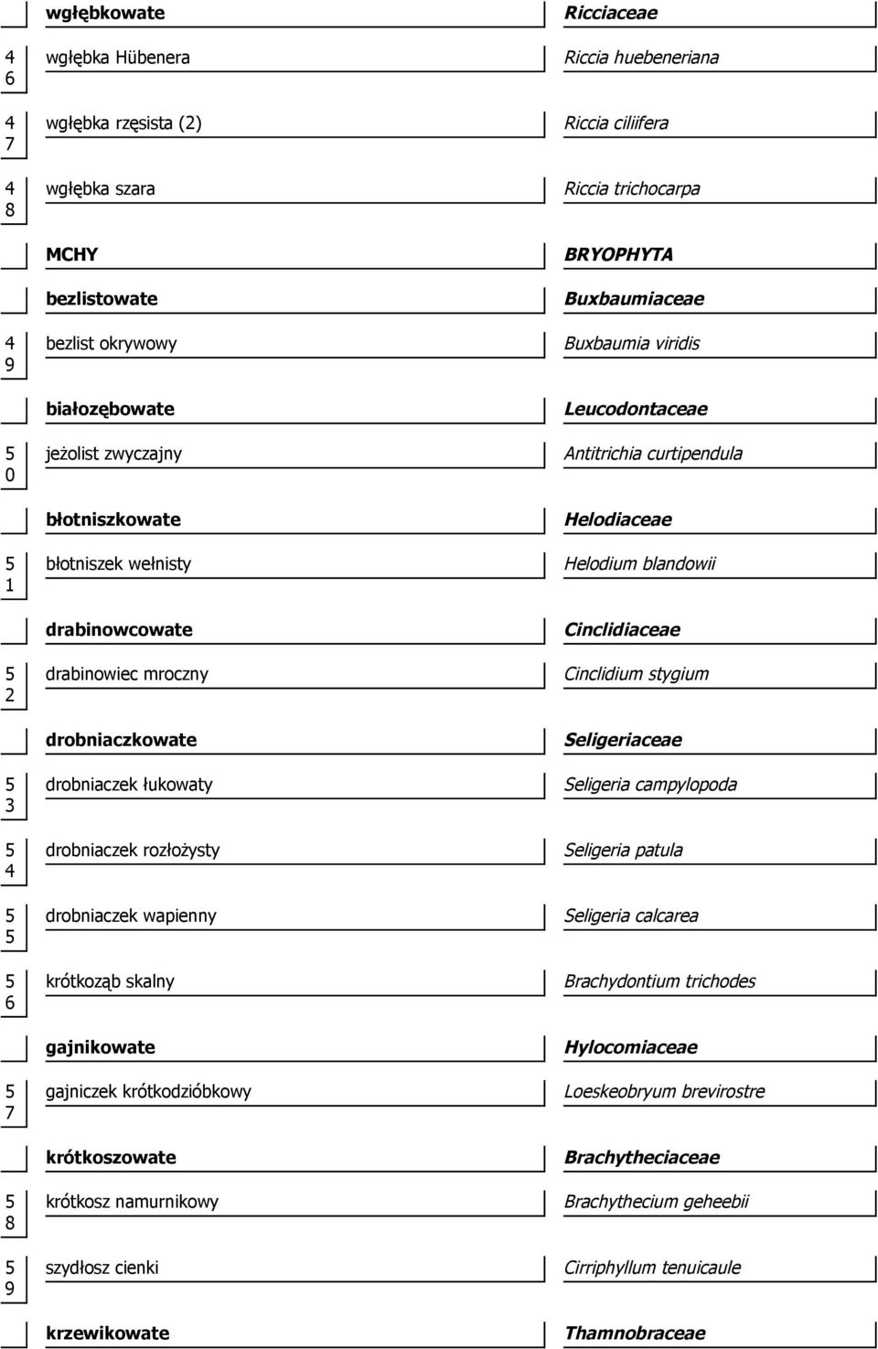cienki krzewikowate Riccia huebeneriana Riccia ciliifera Riccia trichocarpa BRYOPHYTA Buxbaumiaceae Buxbaumia viridis Leucodontaceae Antitrichia curtipendula Helodiaceae Helodium blandowii