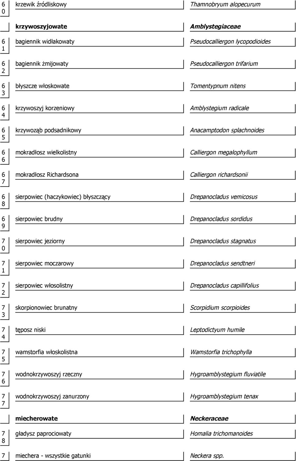 rzeczny wodnokrzywoszyj zanurzony miecherowate gładysz paprociowaty Thamnobryum alopecurum Amblystegiaceae Pseudocalliergon lycopodioides Pseudocalliergon trifarium Tomentypnum nitens Amblystegium