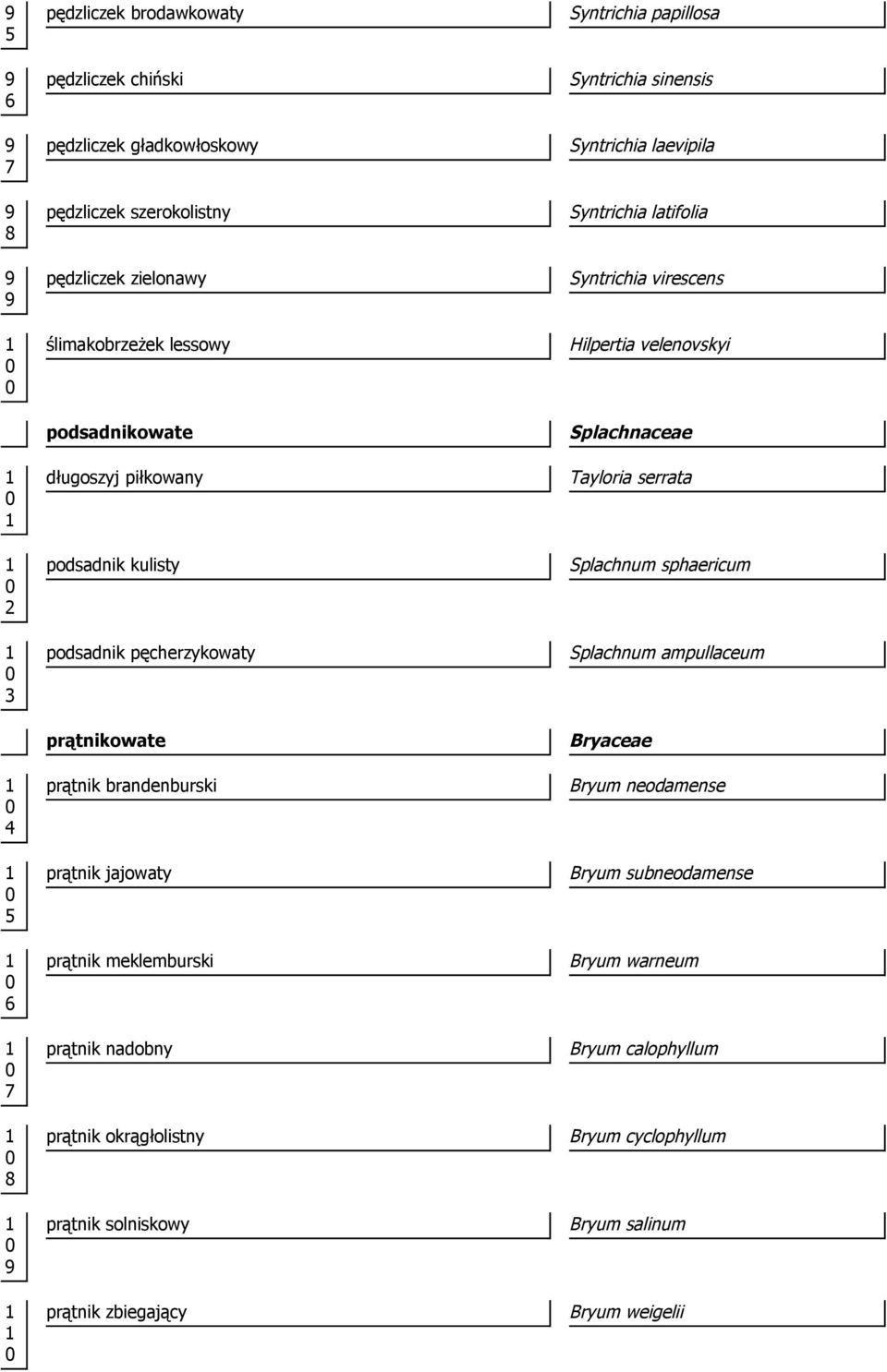 prątnik zbiegający Syntrichia papillosa Syntrichia sinensis Syntrichia laevipila Syntrichia latifolia Syntrichia virescens Hilpertia velenovskyi Splachnaceae Tayloria