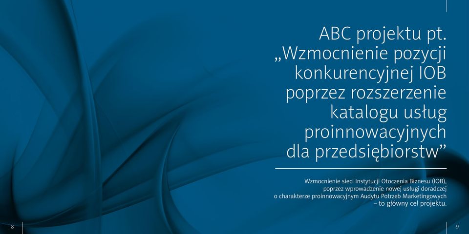 proinnowacyjnych dla przedsiębiorstw Wzmocnienie sieci Instytucji Otoczenia