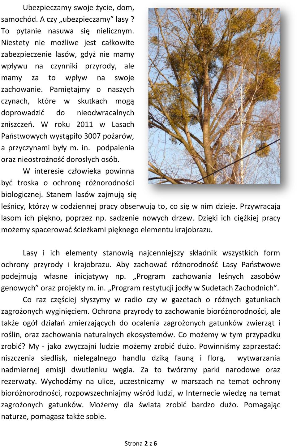 Pamiętajmy o naszych czynach, które w skutkach mogą doprowadzić do nieodwracalnych zniszczeń. W roku 2011 w Lasach Państwowych wystąpiło 3007 pożarów, a przyczynami były m. in.