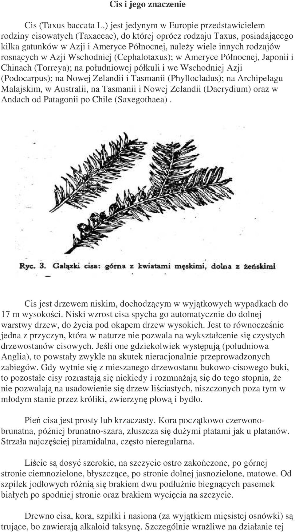 Azji Wschodniej (Cephalotaxus); w Ameryce Północnej, Japonii i Chinach (Torreya); na południowej półkuli i we Wschodniej Azji (Podocarpus); na Nowej Zelandii i Tasmanii (Phyllocladus); na Archipelagu