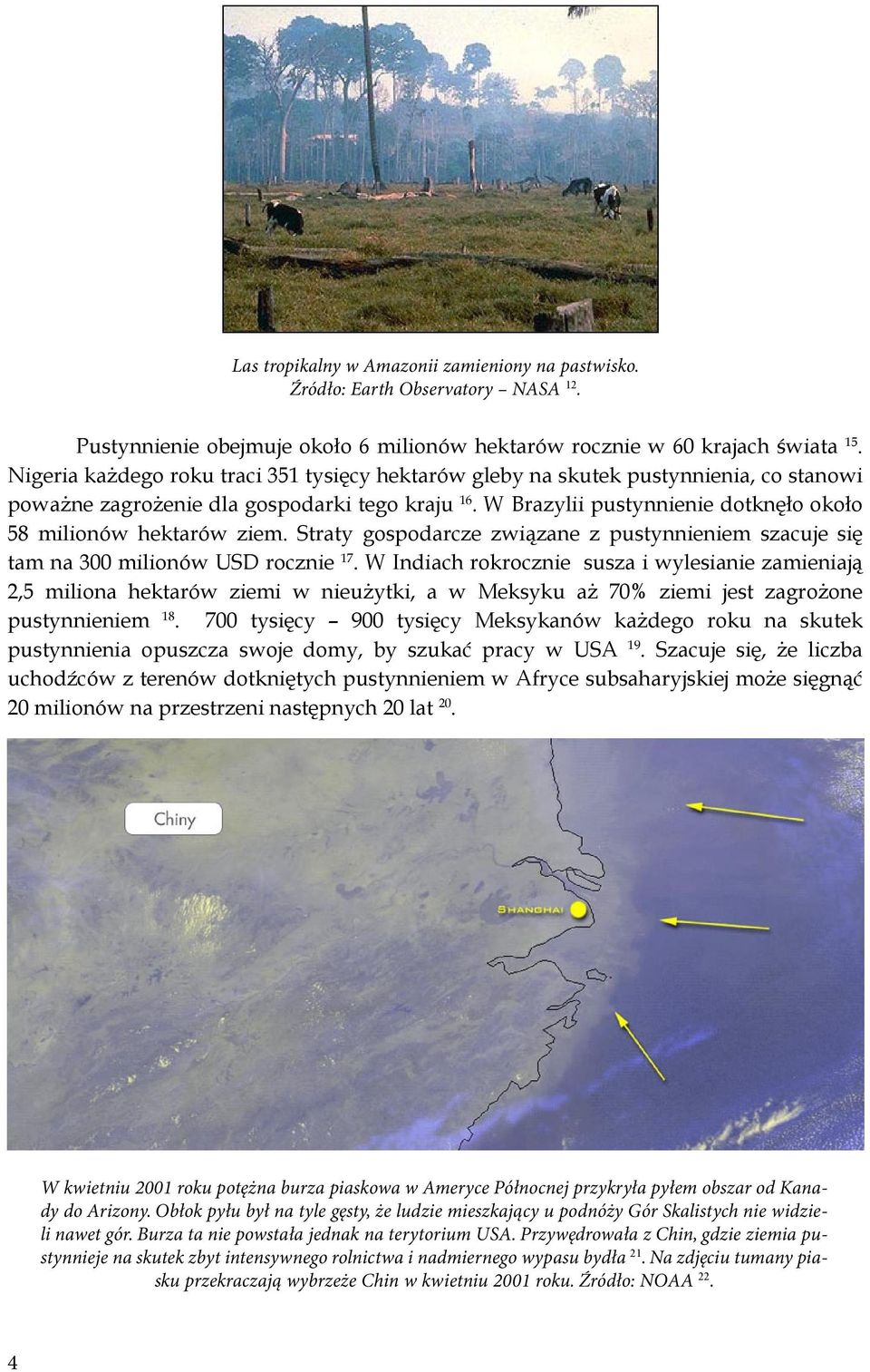 W Brazylii pustynnienie dotknęło około 58 milionów hektarów ziem. Straty gospodarcze związane z pustynnieniem szacuje się tam na 300 milionów USD rocznie 17.